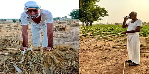 ராஜஸ்தான் : வயலில் வெட்டுக்கிளிகளுடன் போராடிக்கொண்டிருக்கும் ஒரு எம் எல் ஏ!!