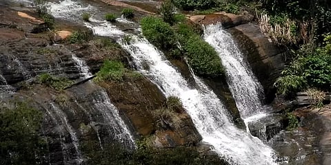 கொடைக்கானல், தொடர் மழையால் ஆர்ப்பரிக்கும் அருவிகள்... பூண்டு விதையிடும் பணிகள் தீவிரம்