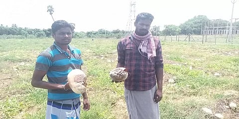 ’ஒரு தர்ப்பூசணி ரூ.1க்கு கூட யாரும் வாங்கவில்லை’ - மாற்று விவசாயம் செய்த பட்டதாரி வேதனை