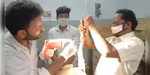 கால்முறிந்து அவதிப்பட்ட கர்ப்பிணி ஆடு : அறுவை சிகிச்சை செய்த மருத்துவரின் மனிதநேயம்