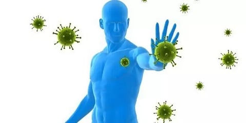 நோய் எதிர்ப்பு சக்தியை அதிகரிக்கும் வைட்டமின் சி... எதையெல்லாம் சாப்பிடலாம்?