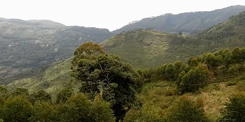 கொடைக்கானல் மலைப்பகுதிகளில் மீண்டும் தலை தூக்கும் போலி பட்டா சர்ச்சை..!