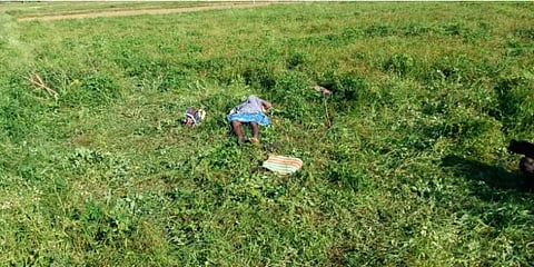 விவசாய மின்வேலியில் சிக்கி முயல் வேட்டைக்கு சென்ற நபர் பரிதாப உயிரிழப்பு