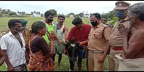 உசிலம்பட்டி: கிணற்றில் விழுந்த கர்ப்பிணி பசு உயிருடன் மீட்பு