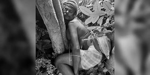 பனை மரத்தில் ஏறியபோதே மாரடைப்பு : தொழிலாளி சறுக்கி இறந்த பரிதாபம்