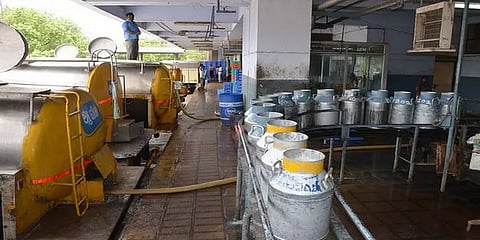 ஆவின் சங்கத்தின் 69 லட்சத்தை கையாடல் செய்த செயலாளர் - வங்கிக்கணக்கை முடக்க உத்தரவு