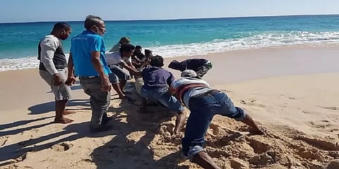 இந்தோனேசியாவில் திமிங்கலங்களுக்கு என்னாச்சு? ஒன்றை மட்டும் கடலில் விட்ட மீனவர்கள்