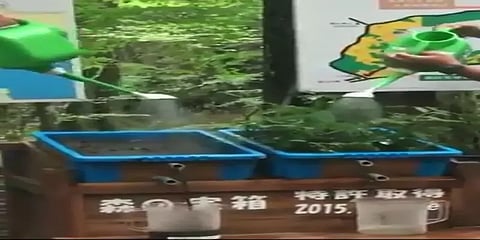 மரங்களின் மகத்துவத்தை உணர்த்தும் வைரல் வீடியோ!