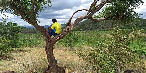 மலை உச்சி மீதுள்ள மரத்தின் மேல் அமர்ந்து படிக்கும் மாணவர்கள் -ஆன்லைன் வகுப்பு பரிதாபங்கள்!