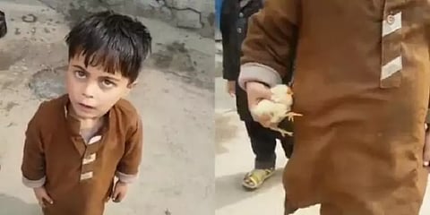 சட்டைப் பையில் கோழிக் குஞ்சுடன் ஆப்கன் சிறுவர்கள்... இணைய தளங்களில் வைரலான காட்சி