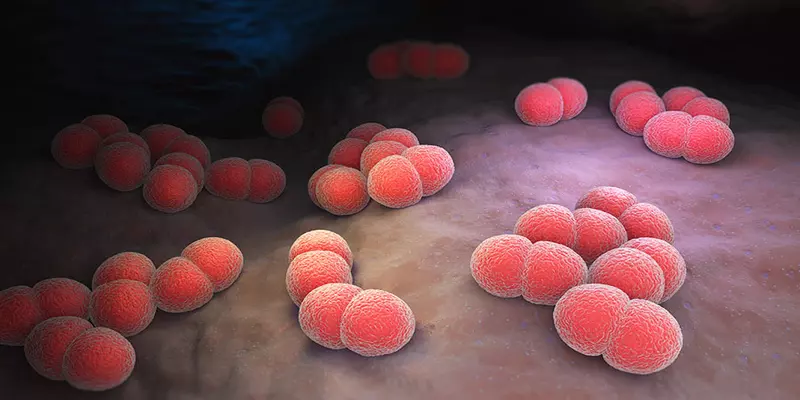 செப்டிசீமியா