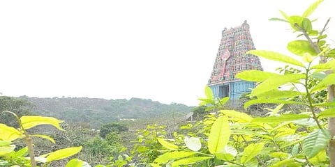 திருத்தணி ஆடிக்கிருத்திகை தெப்பத்திருவிழா ஆன்லைன் மூலம் நேரடி ஒளிபரப்பு –கோயில் நிர்வாகம்