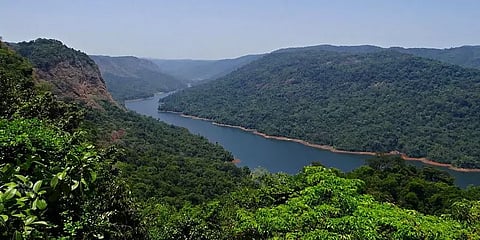 ‘EIA2020’ குறித்து 20 லட்சம் கருத்துகள் - ஆராய குழு அமைத்த மத்திய அரசு !