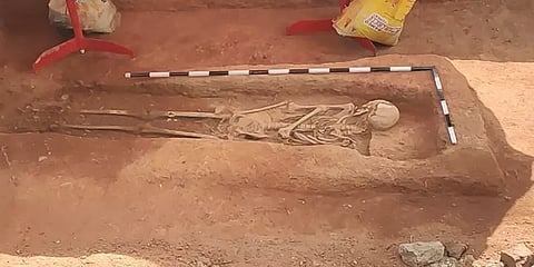 கீழடி: அகழ்வாராய்ச்சியில் 5 அடி உயர எலும்புக் கூடு கண்டெடுப்பு