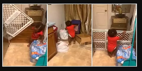 என்னா ஒரு புத்திசாலித்தனம்..! தடைகளை தாண்டி கிச்சனில் நுழையும் வாண்டு பேபி: க்யூட் வீடியோ