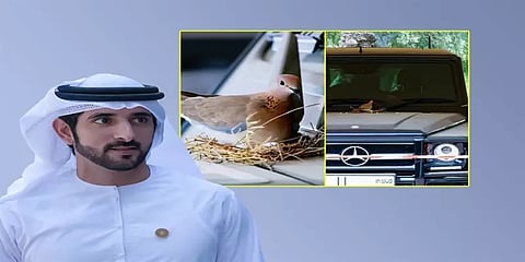 அன்று முல்லைக்கு தேர் கொடுத்த பாரி.. இன்று புறாவுக்கு கார் கொடுத்த துபாய் இளவரசர்