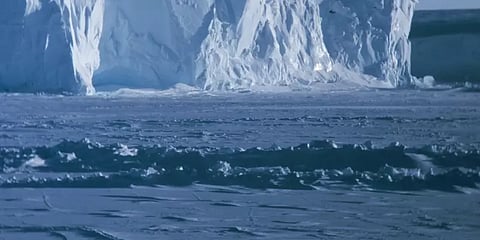 ’பிரச்னையில் இருக்கிறோம்’ - அண்டார்டிகா பனி உருகுவது குறித்து எச்சரிக்கும் ஆய்வாளர்கள்!