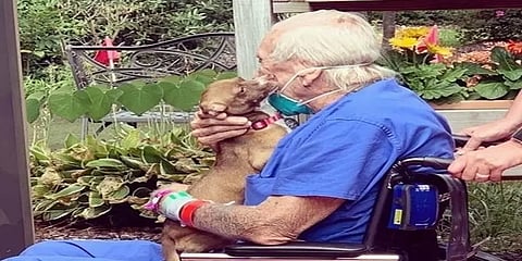 பக்கவாதத்தால் பாதிக்கப்பட்ட கடற்படை வீரரின் உயிரைக் காப்பாற்றிய செல்ல நாய்