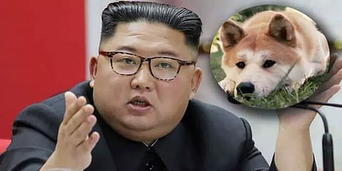 ”இறைச்சி பற்றாக்குறை.. வளர்ப்பு நாய்களை ஒப்படையுங்கள்” கிம் ஜாங் உன் அதிரடி உத்தரவு!