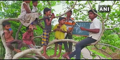 மாணவர்களுக்காக மரத்தின் மீது ஏறி பாடம் நடத்திய ஆசிரியர்!