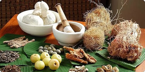 சித்த மருத்துவத்தை மாற்றான் தாய் மனப்பான்மையுடன் நடத்துவது ஏன்? - உயர்நீதிமன்றம் கேள்வி