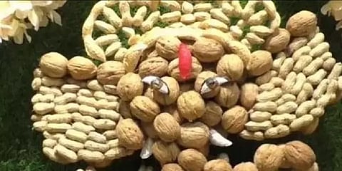 இவர் தாங்க ட்ரைஃப்ரூட் பிள்ளையார் - சூரத் மருத்துவரின் வித்தியாச கலை முயற்சி