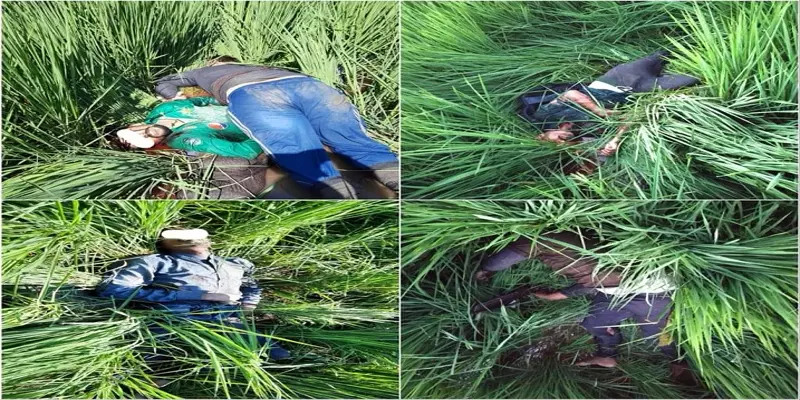 பஞ்சாப்: எல்லையில் நுழைய முயன்ற 5 பயங்கரவாதிகள் சுட்டுக்கொலை