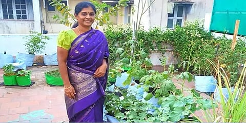 மொட்டை மாடியில் அமோக காய்கறி விளைச்சல்... ஊரடங்கைச் சமாளித்த திருச்சி இல்லத்தரசி