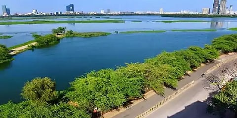 பொதுமுடக்கத்தால் யமுனையில் உயரும் ஆக்சிஜன் அளவு.. செழிக்கும் நீர்வாழ் உயிரிகள்..!