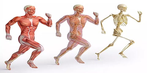 ”மூளையில் ஒரு பல்பை எரியவைக்கும் மின்சக்தி”... மனித உடல் பற்றிய விநோத உண்மைகள்