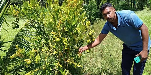 படிப்புக்கேற்ற சம்பளம் இல்லை;ஆனால் உழைப்புக்கேற்ற ஊதியம் உண்டு- விவசாயம் செய்யும் பட்டதாரி