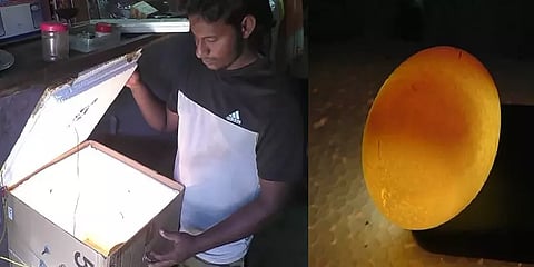 ஊரடங்கை பயனுள்ளதாக்கி இன்குபேட்டரால் கோழிக்குஞ்சுகளை பொறிக்க வைத்த பொறியியல் பட்டதாரி