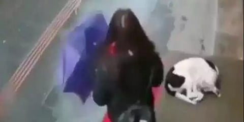 சகோதரன், தாயை சுட்டுக்கொன்ற சிறுமி : நாவலின் கற்பனையால் விபரீதம்