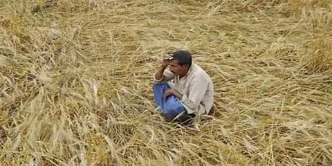 “எங்கள் பிரச்னையையும் கவனியுங்கள்”- சுஷாந்தின் படத்தோடு போராடிய மத்திய பிரதேச விவசாயிகள்