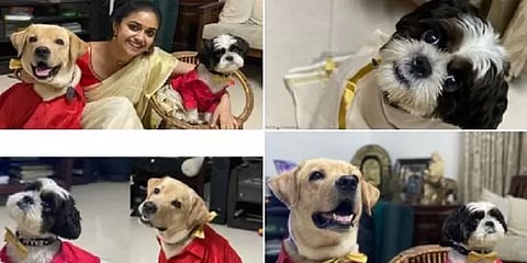 பட்டு வேஷ்டி சில்க் சட்டையுடன் நாய்க்குட்டிகள்..கீர்த்தி சுரேஷ் வெளியிட்ட ஓணம் புகைப்படம்