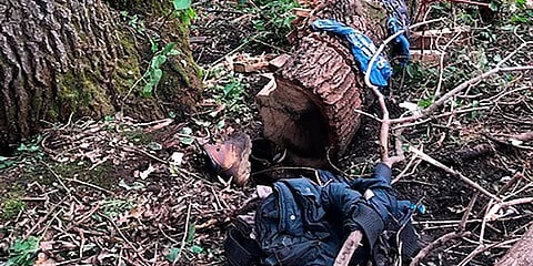 விழுந்த மரத்தின் அடியில் 4 நாள்கள் சிக்கிய நபர்.. மழை நீரை குடித்து உயிர் பிழைத்த அதிசயம்!