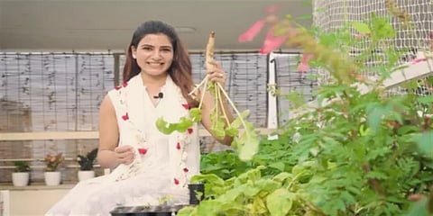 வீட்டுத் தோட்டம் அமைக்க டிப்ஸ் கொடுக்கும் நடிகை சமந்தா..!