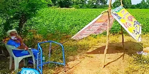 கொரோனா பாஸிட்டிவ் வந்ததால் தாயை வீட்டை விட்டு வெளியேற்றி வயக்காட்டில் விட்ட மகன்கள்..!