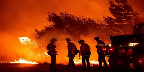 கலிஃபோர்னியா மாகாணத்தில் கட்டுக்கடங்காத காட்டுத்தீ : 10க்கும் மேற்பட்டோர் பலி