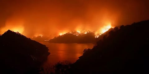 காட்டுத்தீ கொடூரம்: சாம்பலாகும் அமெரிக்காவின் மேற்கு பகுதி மாநில காடுகள்.!