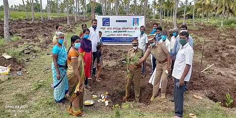 மரம் தங்கசாமியின் நினைவு நாள் - 3 நாட்களில் 1.26 லட்சம் மரங்களை நட்டு விவசாயிகள் சாதனை