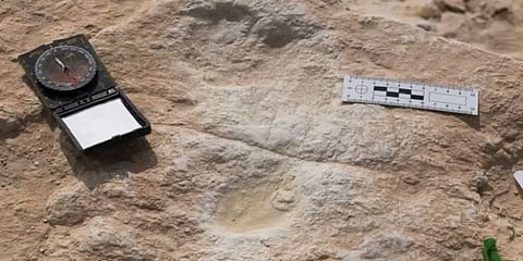 1.2 லட்சம் ஆண்டு பழமையான மனித காலடித் தடங்கள்... சவுதி அரேபியாவில் ஆய்வில் கண்டுபிடிப்பு!