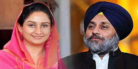 விவசாயிகள் மசோதாக்களை எதிர்த்து மத்தியஅமைச்சர் ஹர்சிம்ரத் ராஜினாமா செய்வார்: சுக்பீர் சிங்