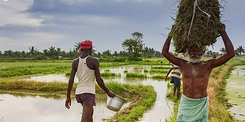 வேளாண் மசோதாக்கள் விவசாயிகளுக்கு சாதகமா? பாதகமா? – அலசல்