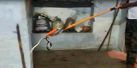 சத்தியமங்கலம் நகர்ப்பகுதியில் வீட்டிற்குள் புகுந்த கருநாகப்பாம்பு - அதிர்ச்சியடைந்த மக்கள்