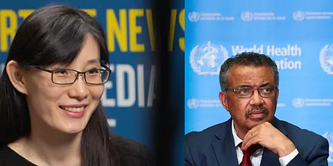 கொரோனாவை மறைக்க சீனாவிற்கு உலக சுகாதார நிறுவனம் உடந்தை: சீன வைராலஜிஸ்ட் தாக்கு