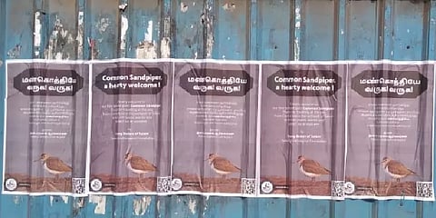 “மண்கொத்தியே வருக வருக”- பறவைகளை வரவேற்று சுவரொட்டி.!