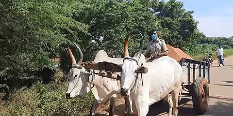 மணல் திருட்டு மாட்டுவண்டிகள்: தடுத்து நிறுத்தி ஓட்டிச்சென்ற காவலர்கள்.!