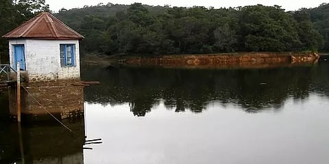 நீர் உறிஞ்சும் சவுக்கு, குங்கிலியம்.... குடிநீர் ஆதார அணைகளை மேம்படுத்த மக்கள் கோரிக்கை