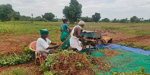 எளிதில் நிலக்கடலையை பிரித்தெடுக்கும் இயந்திரம்: சகோதரர்கள் அசத்தல் கண்டுபிடிப்பு